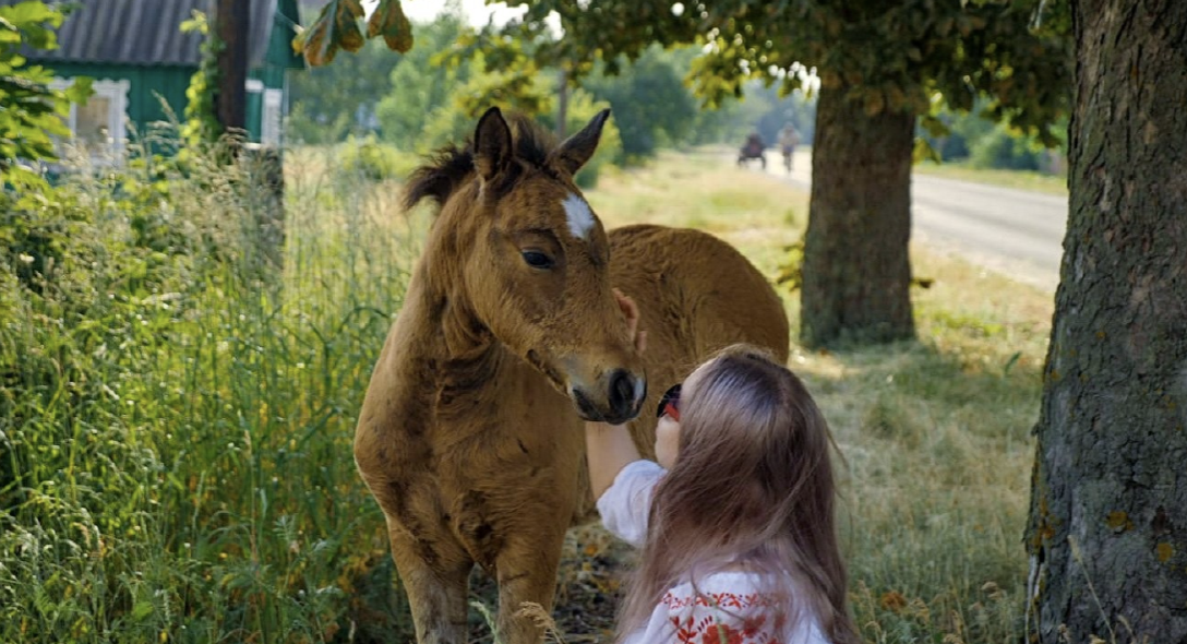 Polesian horse with its owner